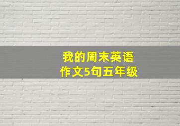 我的周末英语作文5句五年级