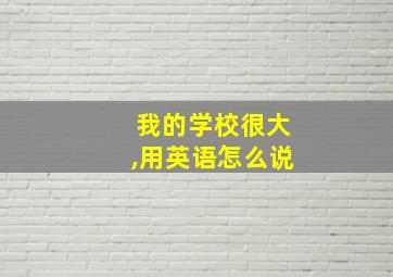 我的学校很大,用英语怎么说