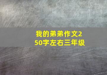 我的弟弟作文250字左右三年级