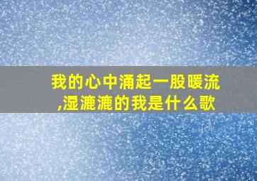 我的心中涌起一股暖流,湿漉漉的我是什么歌