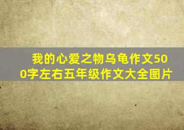 我的心爱之物乌龟作文500字左右五年级作文大全图片