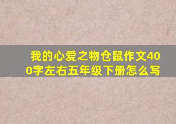 我的心爱之物仓鼠作文400字左右五年级下册怎么写