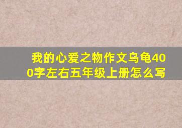 我的心爱之物作文乌龟400字左右五年级上册怎么写