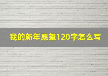 我的新年愿望120字怎么写