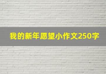 我的新年愿望小作文250字