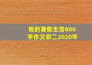 我的暑假生活800字作文初二2020年