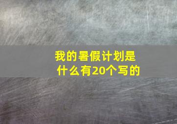 我的暑假计划是什么有20个写的