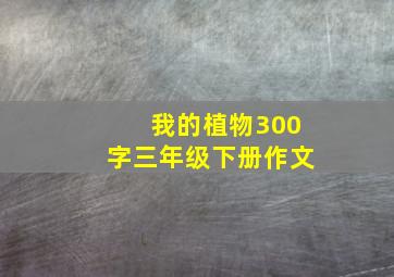 我的植物300字三年级下册作文