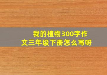 我的植物300字作文三年级下册怎么写呀