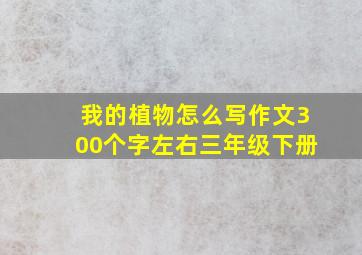 我的植物怎么写作文300个字左右三年级下册