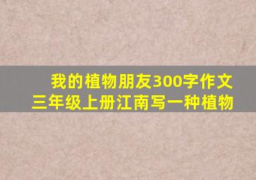 我的植物朋友300字作文三年级上册江南写一种植物