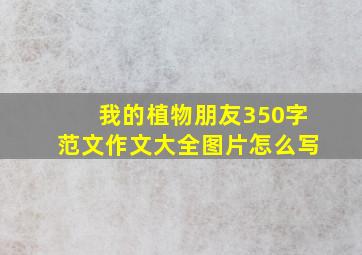 我的植物朋友350字范文作文大全图片怎么写