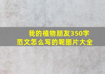 我的植物朋友350字范文怎么写的呢图片大全