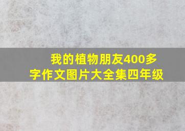 我的植物朋友400多字作文图片大全集四年级