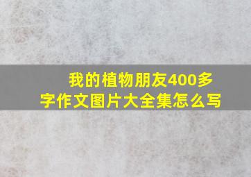 我的植物朋友400多字作文图片大全集怎么写