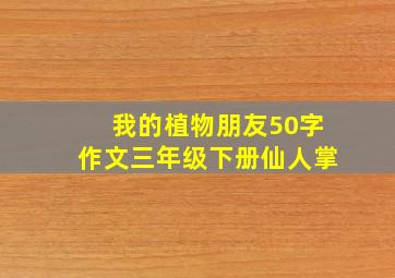 我的植物朋友50字作文三年级下册仙人掌