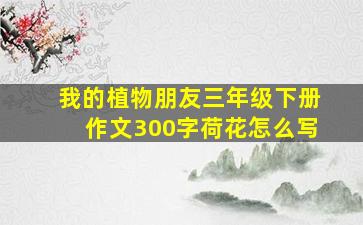 我的植物朋友三年级下册作文300字荷花怎么写