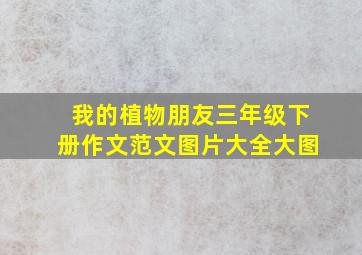 我的植物朋友三年级下册作文范文图片大全大图