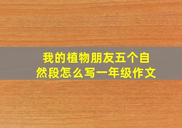 我的植物朋友五个自然段怎么写一年级作文