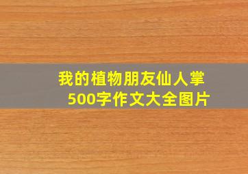 我的植物朋友仙人掌500字作文大全图片