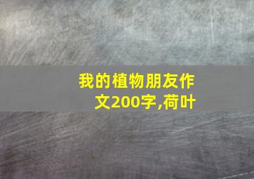 我的植物朋友作文200字,荷叶