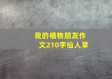 我的植物朋友作文210字仙人掌