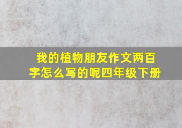 我的植物朋友作文两百字怎么写的呢四年级下册