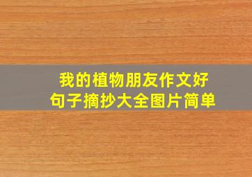 我的植物朋友作文好句子摘抄大全图片简单