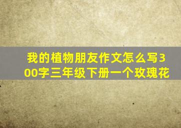 我的植物朋友作文怎么写300字三年级下册一个玫瑰花