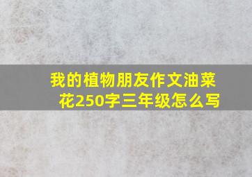 我的植物朋友作文油菜花250字三年级怎么写