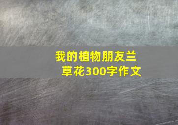 我的植物朋友兰草花300字作文