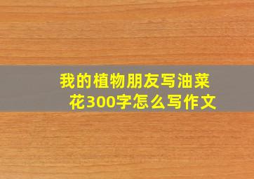 我的植物朋友写油菜花300字怎么写作文