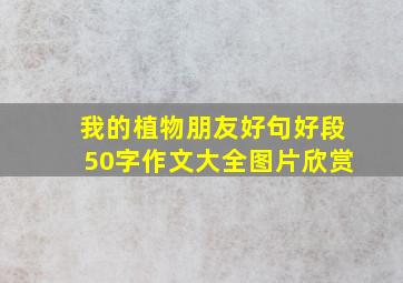 我的植物朋友好句好段50字作文大全图片欣赏