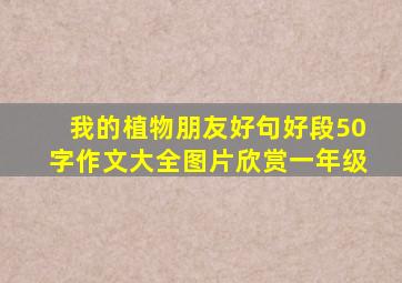 我的植物朋友好句好段50字作文大全图片欣赏一年级