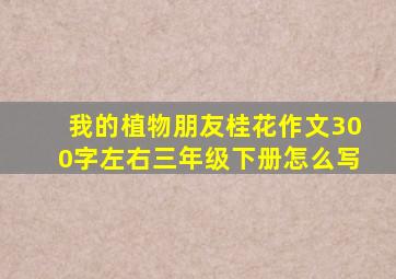 我的植物朋友桂花作文300字左右三年级下册怎么写