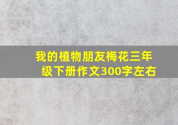 我的植物朋友梅花三年级下册作文300字左右