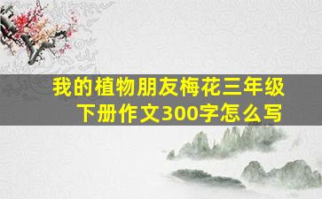 我的植物朋友梅花三年级下册作文300字怎么写