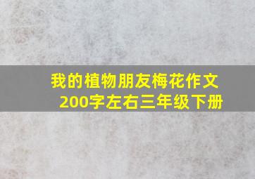 我的植物朋友梅花作文200字左右三年级下册