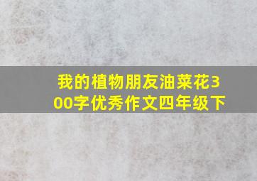 我的植物朋友油菜花300字优秀作文四年级下