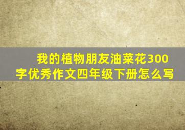 我的植物朋友油菜花300字优秀作文四年级下册怎么写