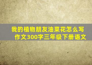 我的植物朋友油菜花怎么写作文300字三年级下册语文