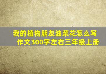 我的植物朋友油菜花怎么写作文300字左右三年级上册