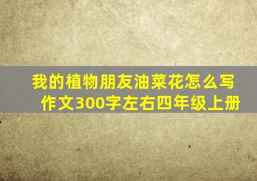 我的植物朋友油菜花怎么写作文300字左右四年级上册