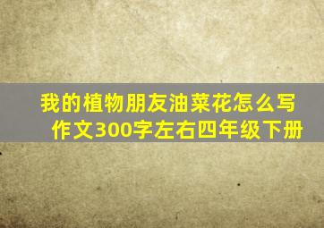 我的植物朋友油菜花怎么写作文300字左右四年级下册