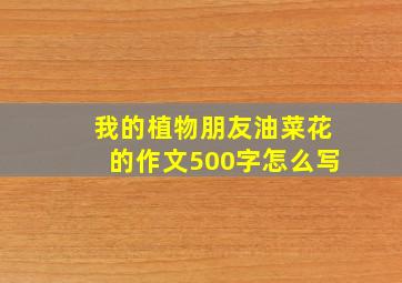 我的植物朋友油菜花的作文500字怎么写