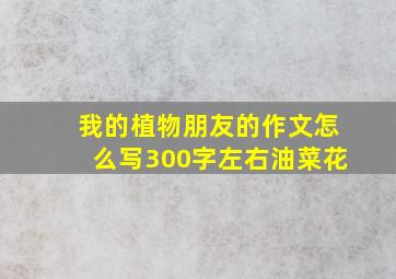 我的植物朋友的作文怎么写300字左右油菜花