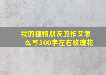 我的植物朋友的作文怎么写300字左右玫瑰花