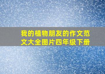 我的植物朋友的作文范文大全图片四年级下册