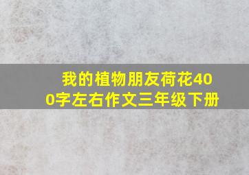 我的植物朋友荷花400字左右作文三年级下册