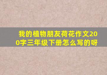 我的植物朋友荷花作文200字三年级下册怎么写的呀